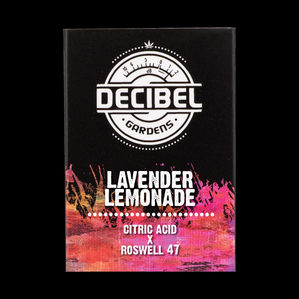 Lavander Lemonade — Decibel Gardens